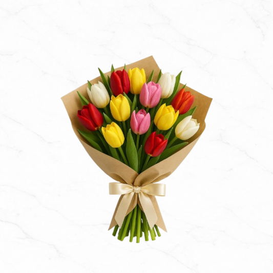 Spring Tulip Rainbow